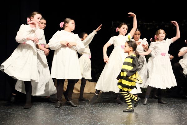 middle dance bee